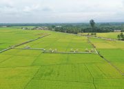 Mengantisipasi Susutnya Lahan Persawahan
