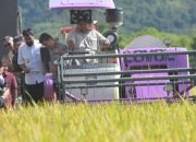 Aceh Targetkan Produksi Gabah 1,6 Juta Ton pada 2025