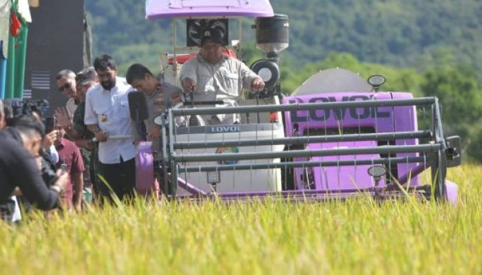 Aceh Targetkan Produksi Gabah 1,6 Juta Ton pada 2025