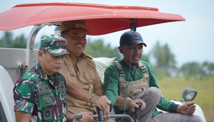Tiga Kabupaten di Aceh Panen Raya Padi Serentak