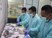 KKP Tegaskan Ikan Hasil Destructive Fishing Tak Layak Konsumsi