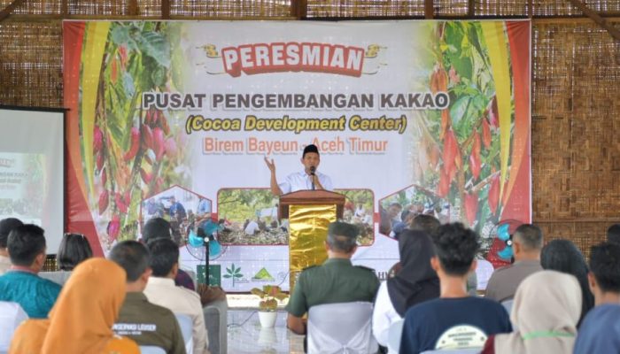 Aceh Bakal Punya Pusat Pelatihan Budi Daya Bibit Kakao Unggul di Birem Bayeun