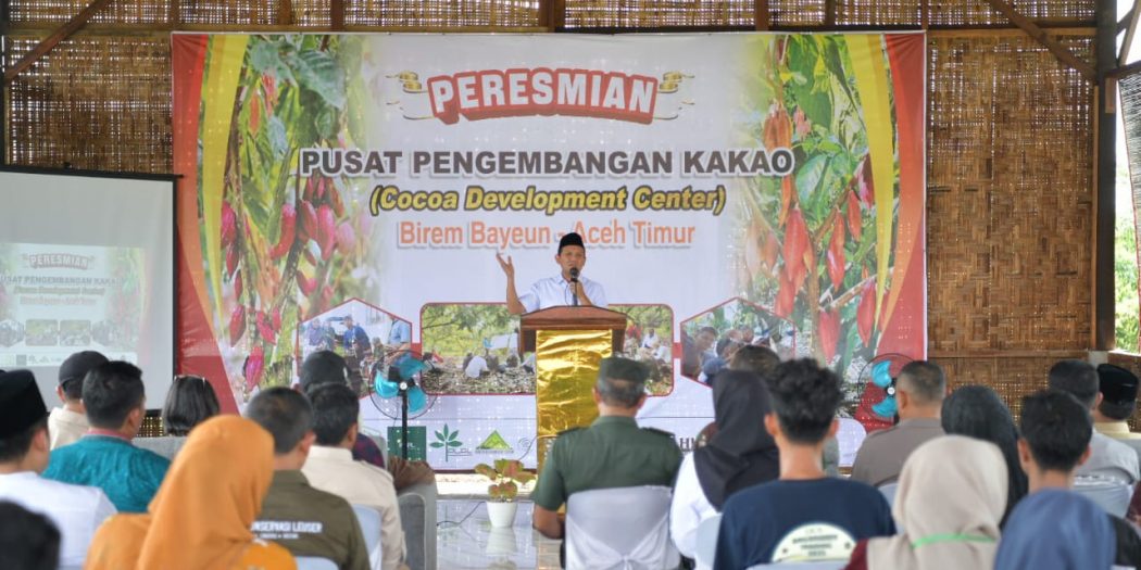 Pusat Pelatihan Budi Daya Bibit Kakao Unggul di Birem Bayeun