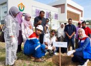 Peringati Hari Lingkungan Hidup Sedunia, PHR Zona 1 Tanam 4.000 Pohon