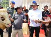 Jaksa Agung Serahkan Hewan Qurban kepada Panitia Qurban Lingkungan Kejagung