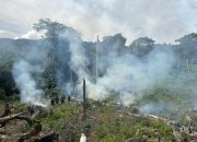 Bareskrim Polri Musnahkan 25 Hektar Ladang Ganja di Nagan Raya