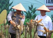 Polres Aceh Utara bersama Pemkab Panen Raya Jagung di Baktiya