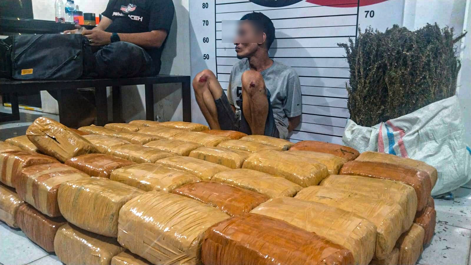 pengedar ganja aceh utara