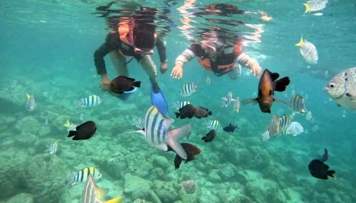 Kunjungan Wisatawan ke Aceh Melonjak, Capai 7,3 Juta di Awal 2025