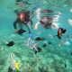 Snorkeling di sekitar Pulau Rubiah, Sabang