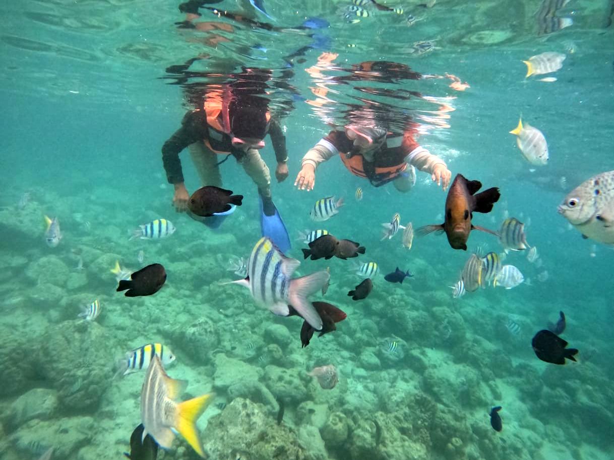 Snorkeling di sekitar Pulau Rubiah, Sabang