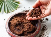 Warga Lut Kucak Dilatih Bikin Sabun dari Limbah Kopi