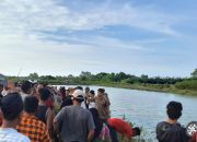 Minibus Pembawa Kambing Curian Terguling ke Tambak, Satu Orang Tewas