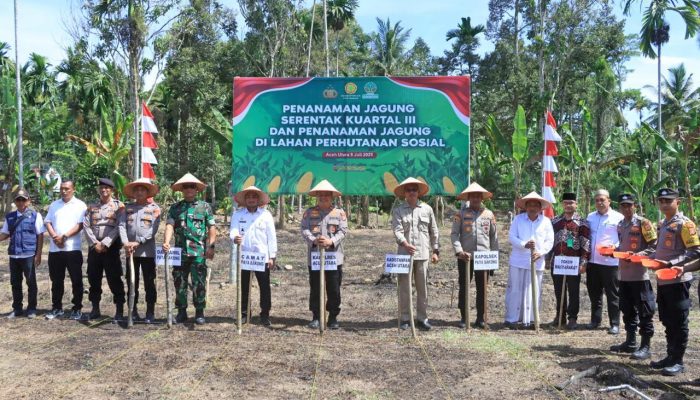 Polres Aceh Utara Tanam Jagung Serentak Kuartal III di Paya Bakong