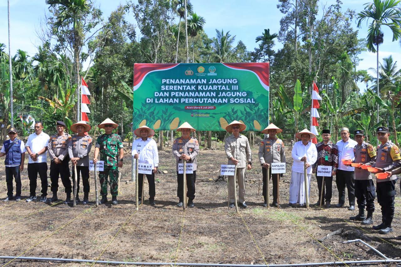 Penanaman jagung serentak Kuartal III