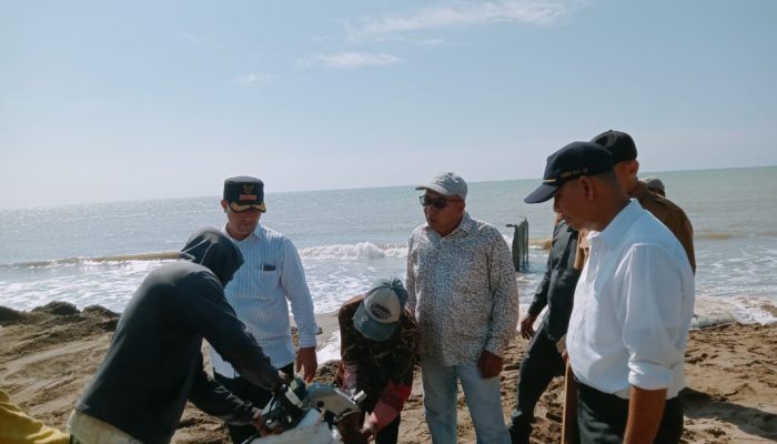 Bupati Aceh Utara Tinjau Pemasangan Geobag di Lhok Pu’uk