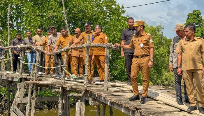 Bupati Aceh Timur Tinjau Kondisi Dua Jembatan Rusak