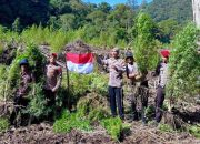 Polres Gayo Lues Musnahkan 25 Hektare Ladang Ganja