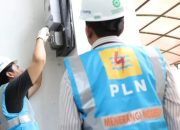 Petugas PLN memeriksa meteran listrik