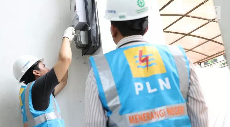 Petugas PLN memeriksa meteran listrik