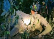 Seekor Gajah Ditemukan Mati di Peunaron Aceh Timur, Diduga Meminum Racun