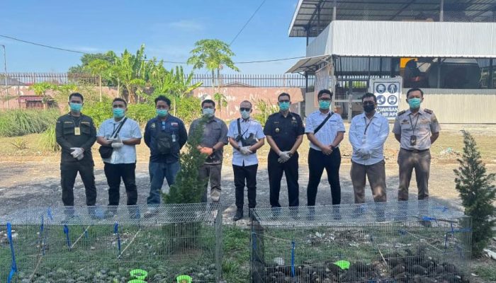 Bea Cukai Langsa Gagalkan Penyelundupan Ratusan Unggas Ilegal Asal Thailand