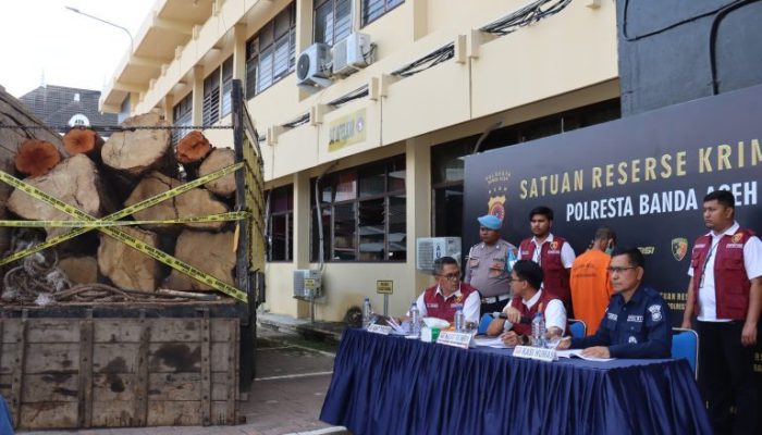 Polisi Amankan Tujuh Kubik Kayu Ilegal di Aceh Besar, Satu Orang Ditangkap