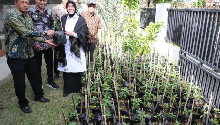 Pemko Banda Aceh Galakkan Gerakan Menanam untuk Tekan Inflasi