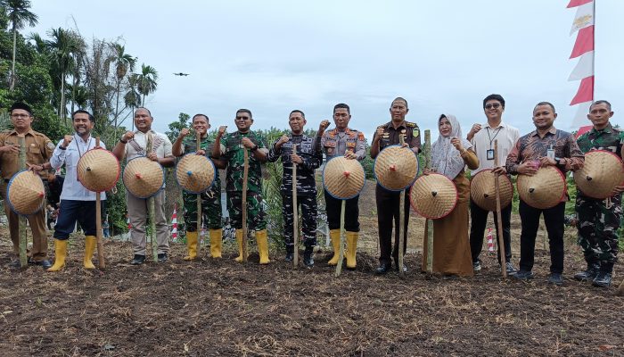 Kodim 0103 Aceh Utara Kembangkan Lahan Pertanian Terpadu di Lhokseumawe