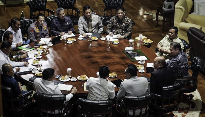 Presiden Prabowo Dorong Pembangunan Prototipe Listrik Desa Bertenaga Surya