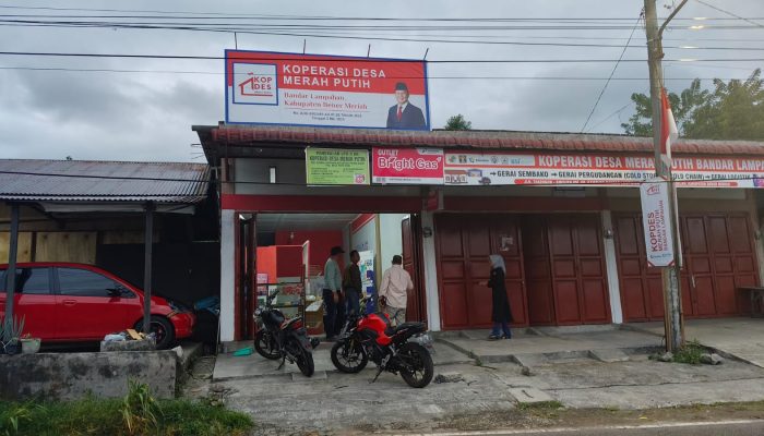 Koperasi Merah Putih Bandar Lampahan Kekurangan Stok Pupuk dan Beras
