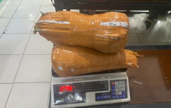 Polisi Tangkap Seorang Pria di SPBU Lhoksukon, Amankan 2,7 Kg Ganja