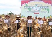 Kapolda Aceh Irjen Pol. Marzuki Ali Basyah saat menghadiri panen raya jagung di Desa Pulo Tinggi, Kecamatan Pasie Raya, Aceh Jaya