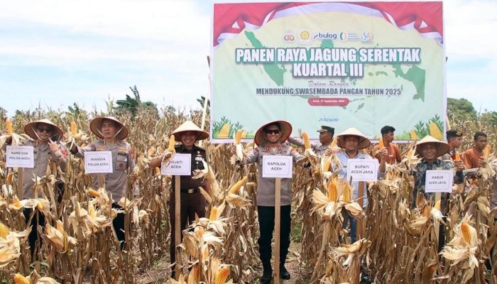 Polda Aceh Panen Raya Jagung Kuartal III, Kapolda Soroti Rendahnya Serapan Bulog