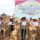 Polda Aceh Panen Raya Jagung Kuartal III, Kapolda Soroti Rendahnya Serapan Bulog