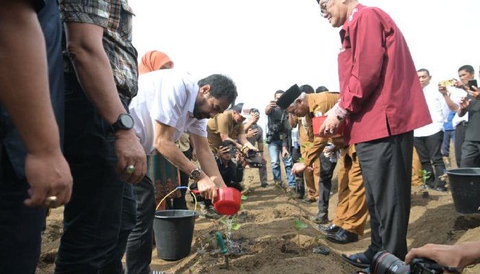 Mualem Dukung Petani Cabai dan Nilam untuk Tekan Inflasi Aceh