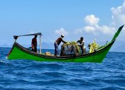 Bubu Ini Bisa Kurangi Tangkapan Hiu dan Pari yang Terancam Punah