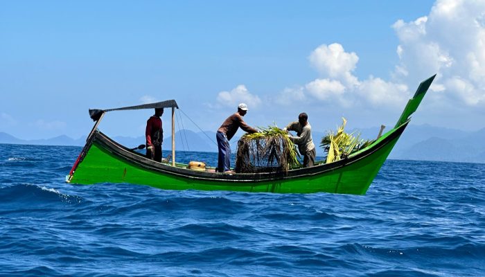 Bubu Ini Bisa Kurangi Tangkapan Hiu dan Pari yang Terancam Punah