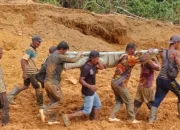 Longsor Tambang Emas Ilegal di Aceh Jaya Tewaskan Satu Pekerja