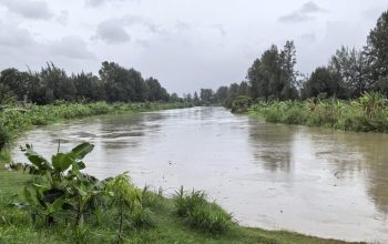 Ketinggian Air Krueng Aceh Naik, Warga Banda Aceh Diminta Waspada Banjir Mendadak