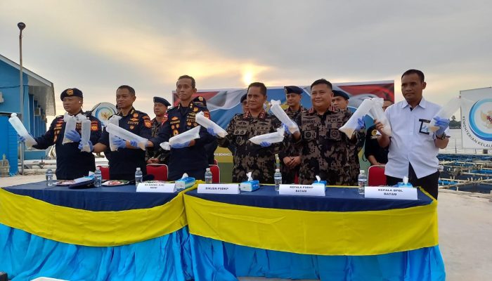 Bea Cukai Gagalkan Penyelundupan Ratusan Ribu Benih Lobster