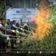 BNN Musnahkan 69 Ton Ganja di Aceh Utara