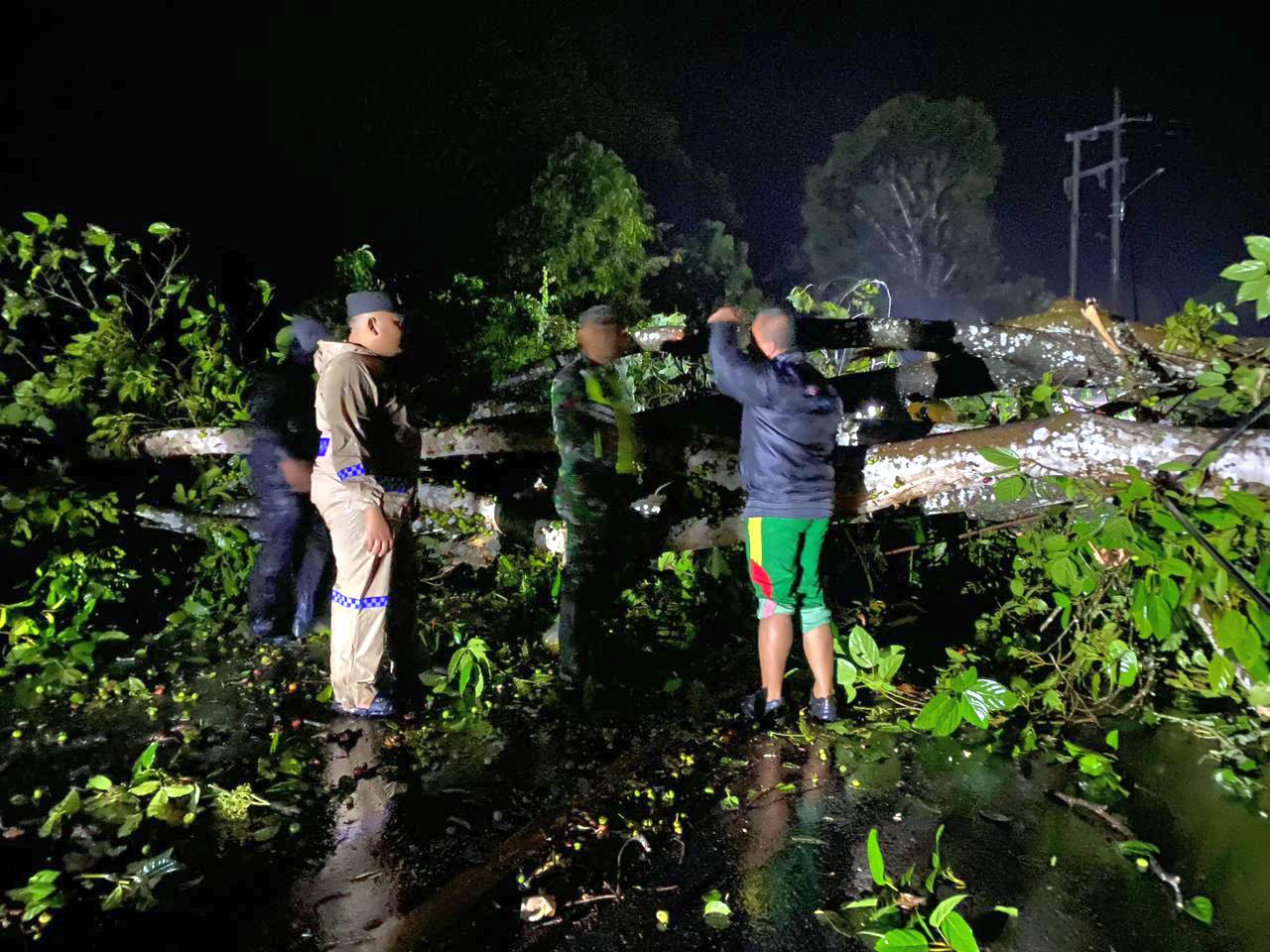 Personel TNI bersama aparat dan warga membersihkan batang pohon besar menutup total badan jalan di kawasan Barsela