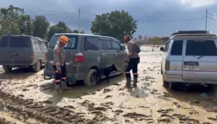 Polda Aceh Kerahkan Anjing Pelacak K-9 Percepat Pencarian Korban
