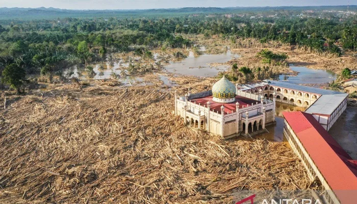 Kemenhut Percepat Pembersihan Kayu Banjir di Aceh