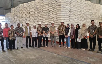 Tak Perlu Khawatir, Stok Beras Aceh Melimpah Jelang Ramadan