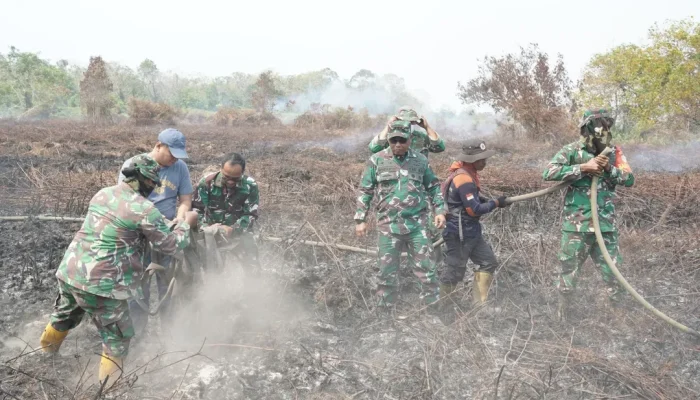 Kebakaran Lahan Meluas, Danrem 012/Teuku Umar Turun Langsung