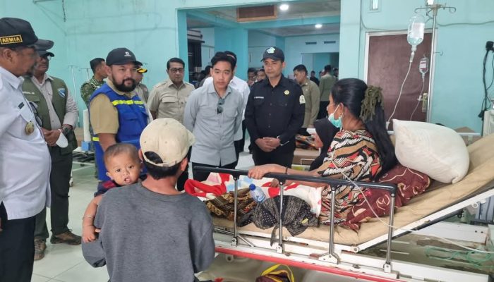 Wapres Apresiasi RSUD yang Bangkit dari Banjir