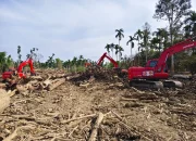 Alat Berat Dikerahkan Buka Akses Jalan Gedumbak Langkahan