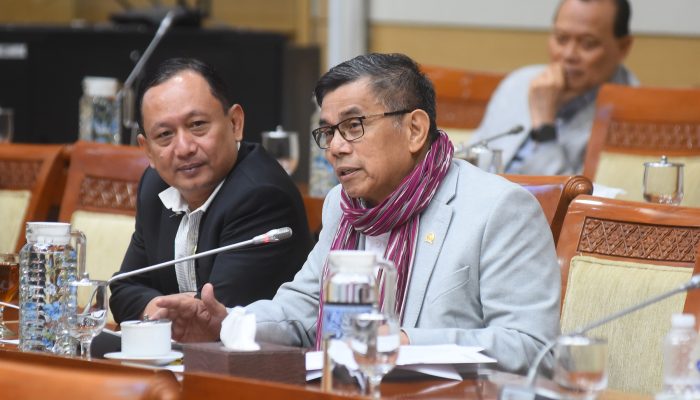 Hinca Pandjaitan Minta Penghentian Perkara Tri Wulansari